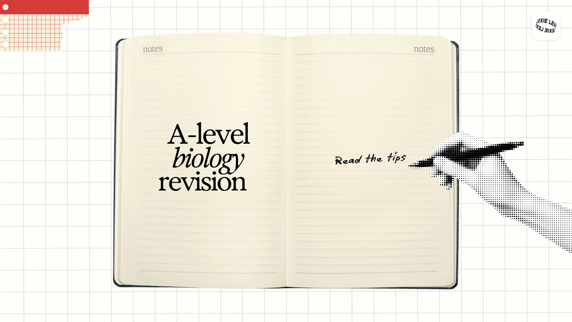 Illustrated meadow landscape