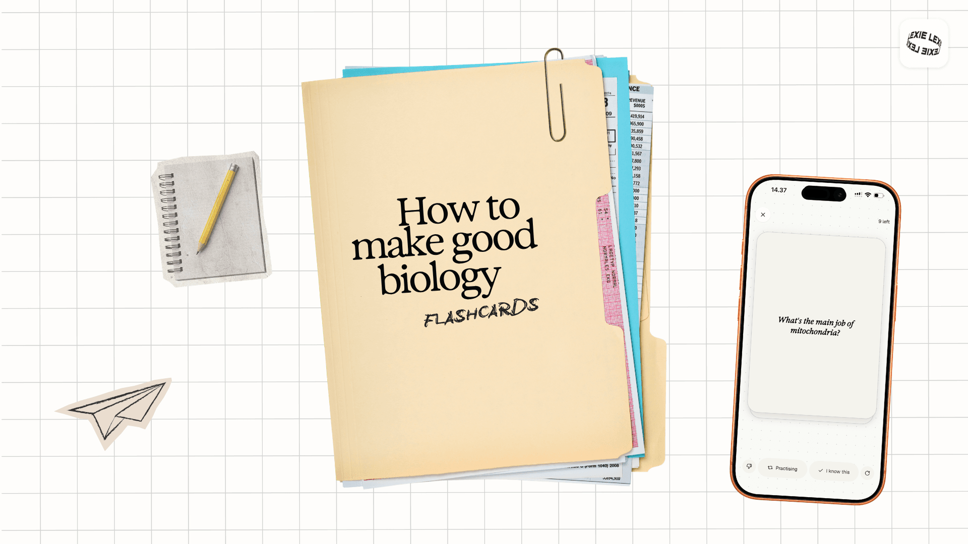 Illustrated meadow landscape