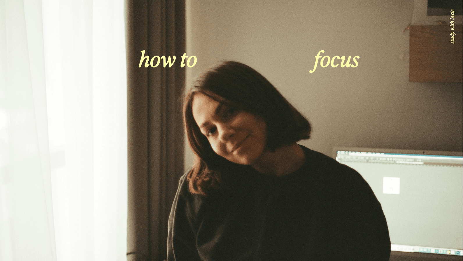 Illustrated meadow landscape