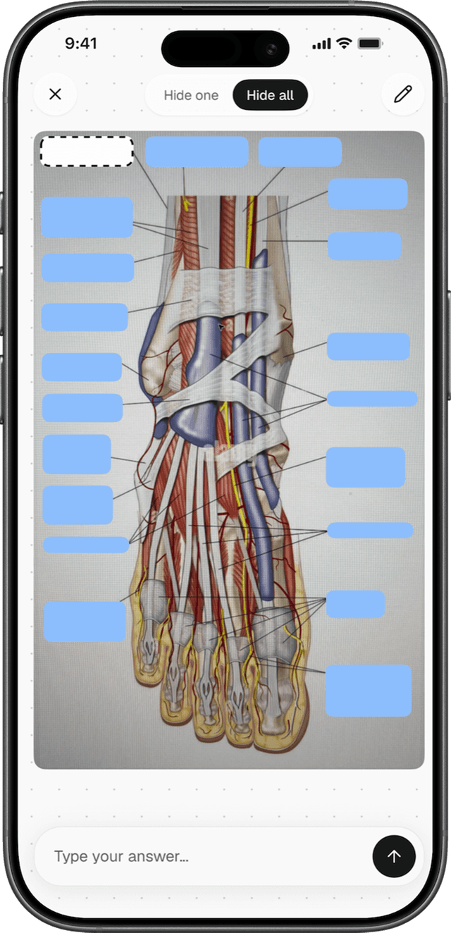 Image occlusion in the Lexie app: a diagram of the foot with every label hidden