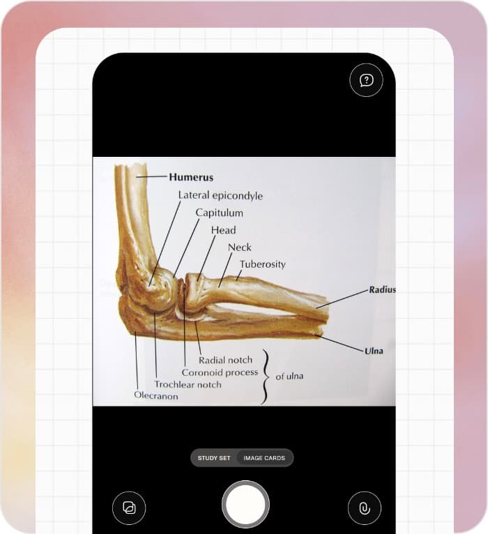 Taking a photo of a labelled diagram in the Lexie app