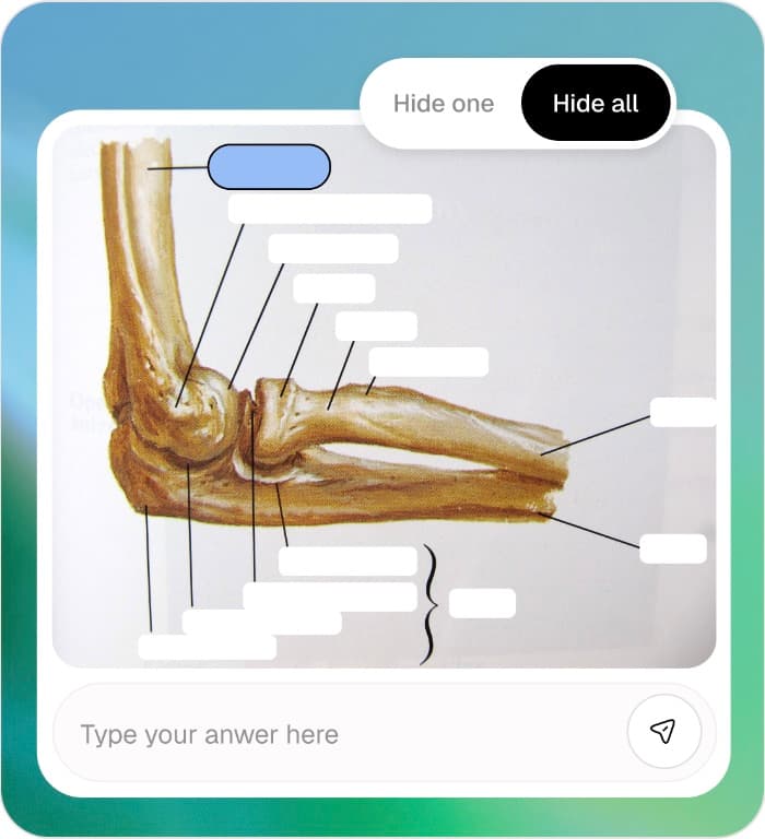The diagram with every label hidden