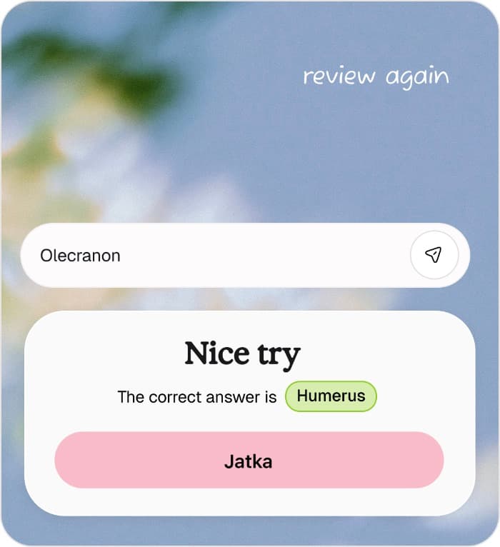Feedback after a typed answer