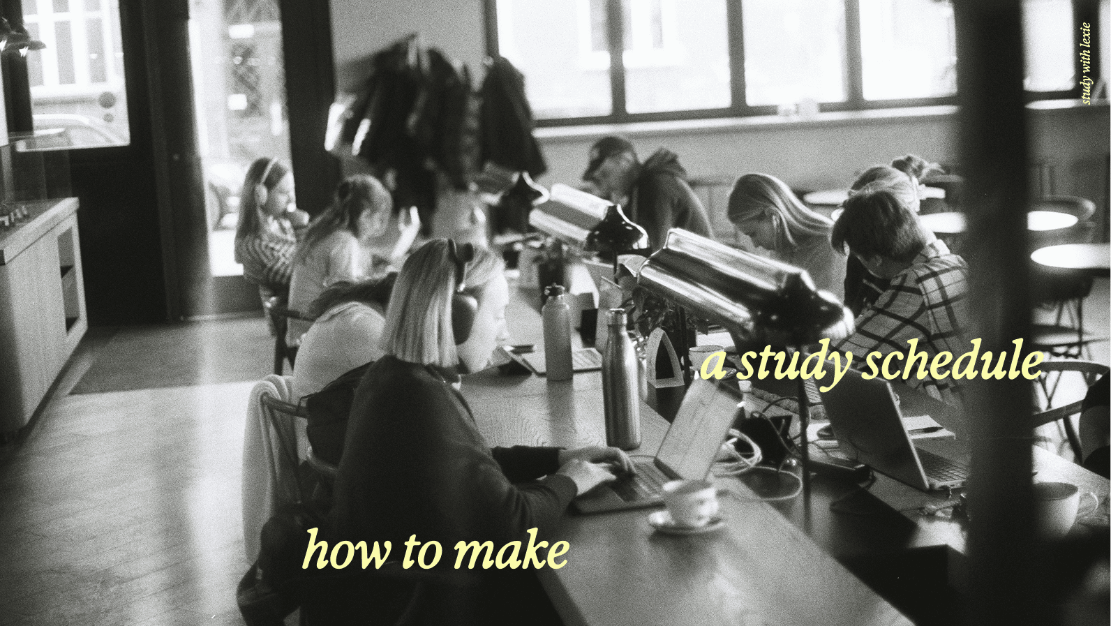 Illustrated meadow landscape