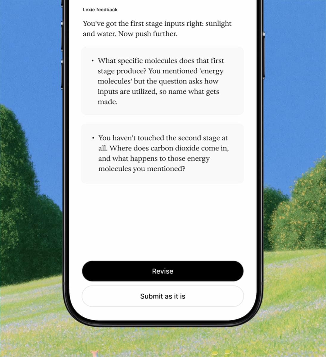 Lexie's feedback naming two gaps, above a Revise button and a Submit as it is button