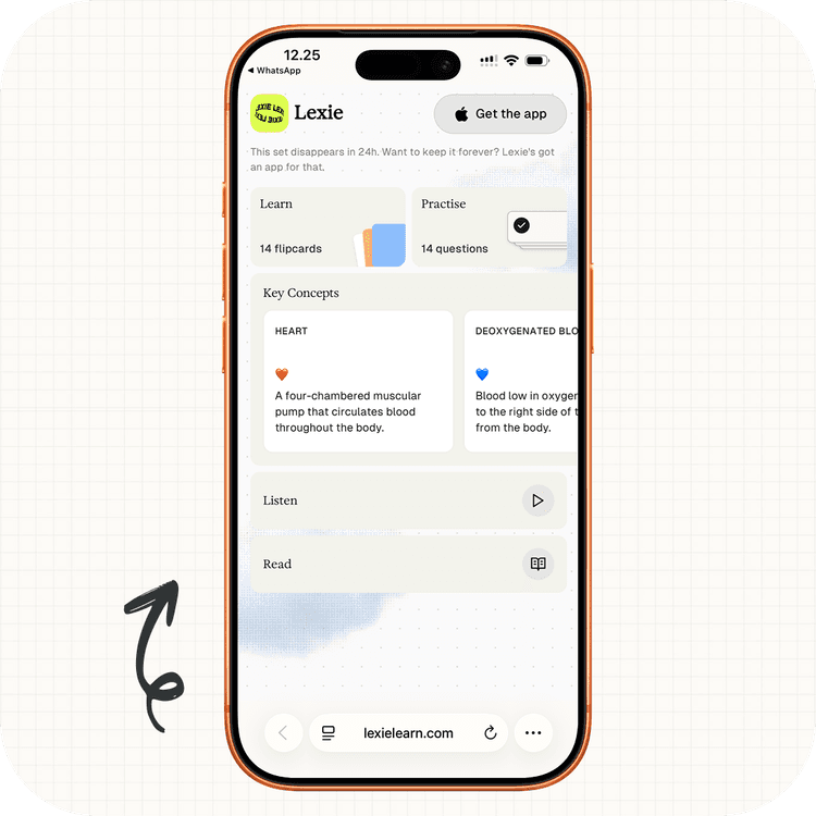 Open your study set in the browser
