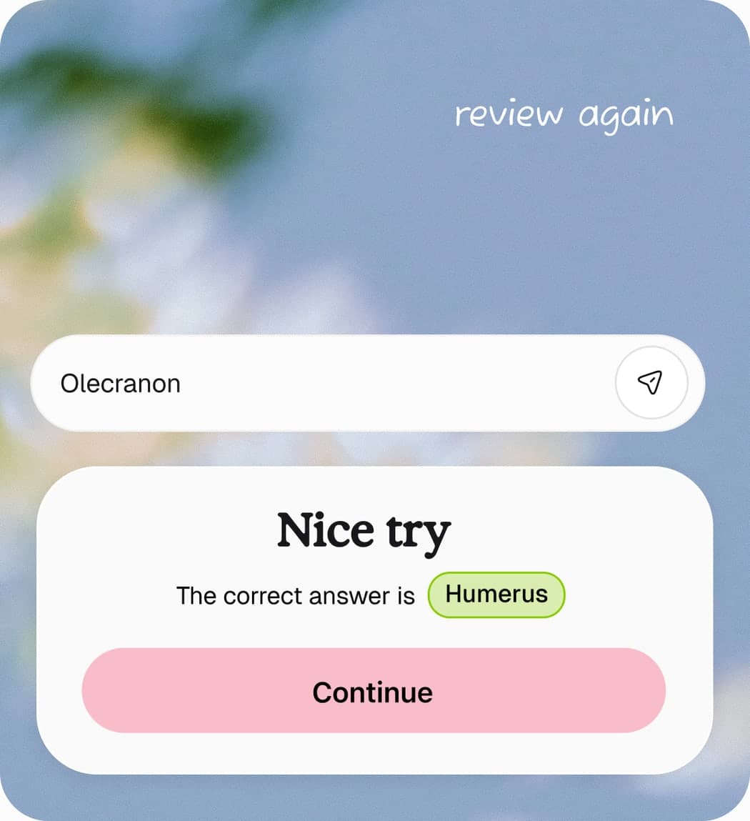 Feedback after a typed answer